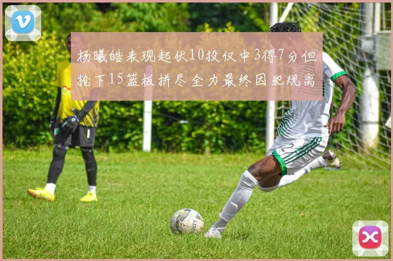 杨曦皓表现起伏10投仅中3得7分但抢下15篮板拼尽全力最终因犯规离场